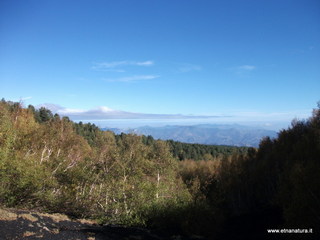 Vallone monte Zappinazzo